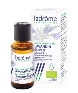 Lavandin super (Lavandula x super) BIO, 30 ml